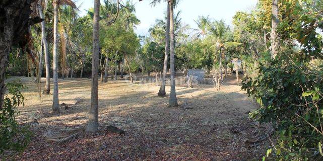 Land For Sale Good Beach View 1