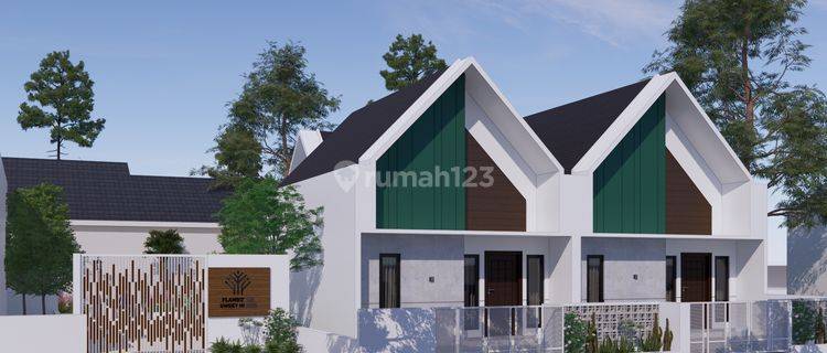 Flamboyan Sweet Home 1