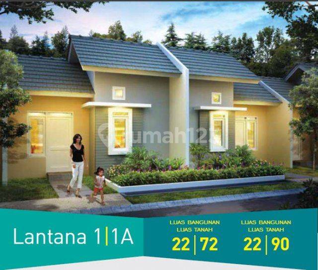 Lantana 1 | 1A
