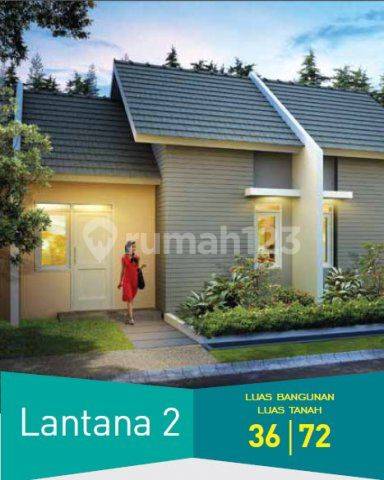 Lantana 2