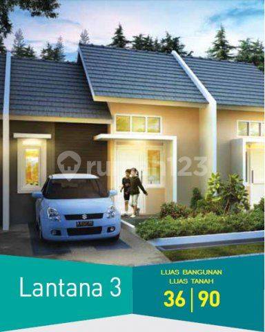 Lantana 3