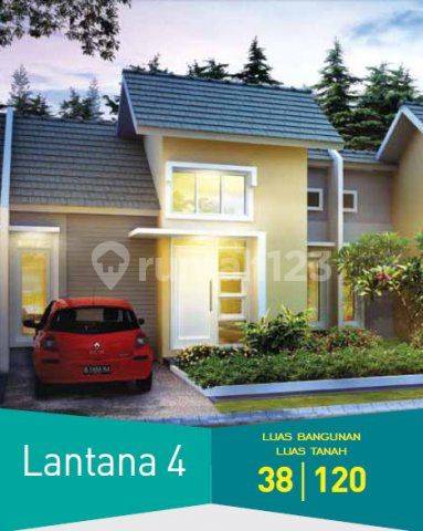 Lantana 4