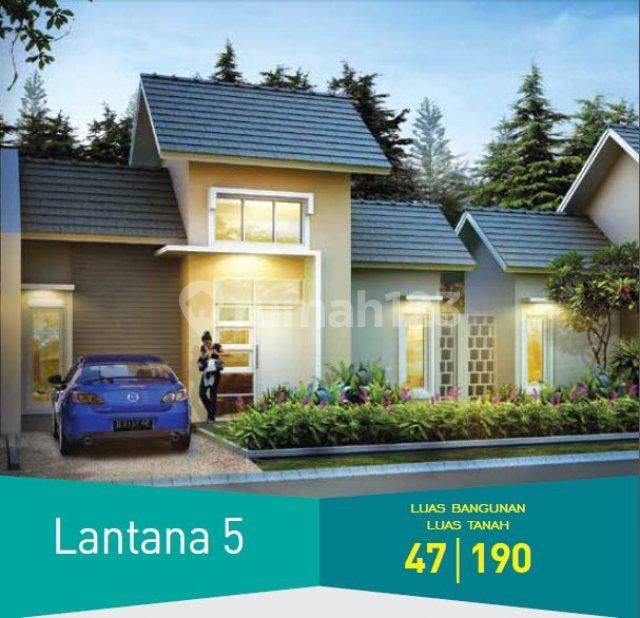 Lantana 5