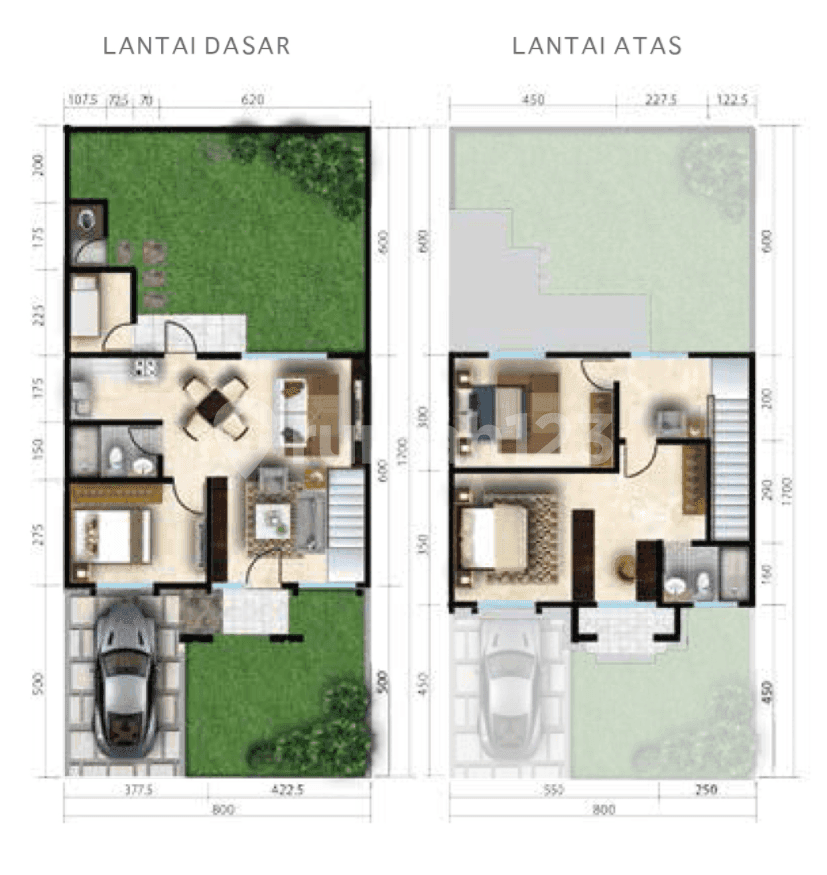 Attaleya 1