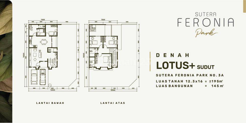 Lotus+ Sudut145