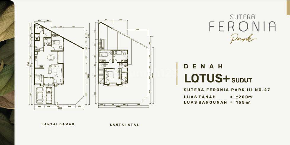 Lotus+ Sudut155