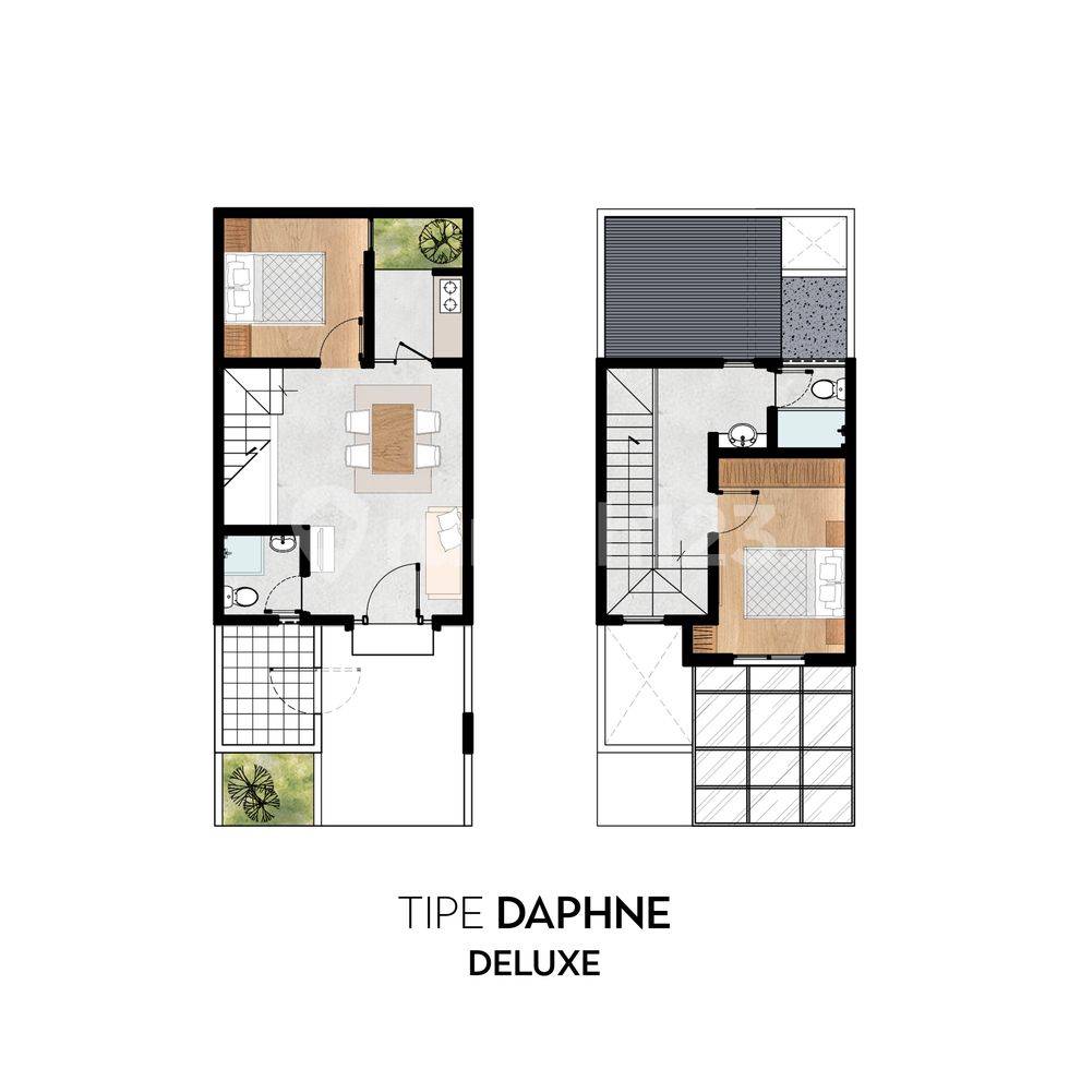 Daphne Deluxe