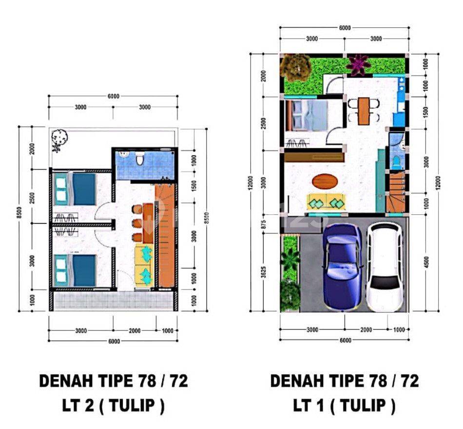 Tahap 1 Type Tulip