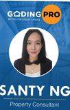Santy Ng | Agen Properti GadingPro